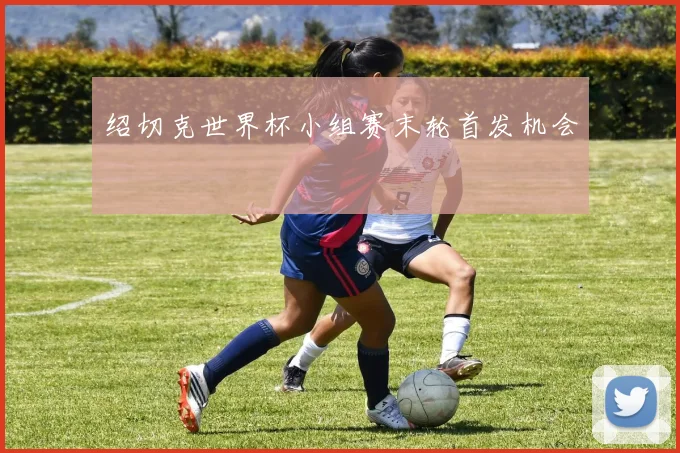 绍切克世界杯小组赛末轮首发机会