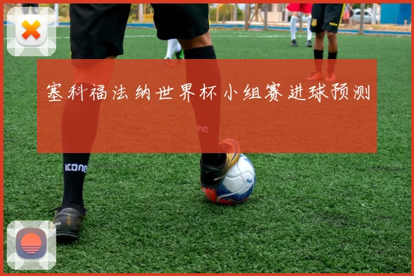 塞科福法纳世界杯小组赛进球预测