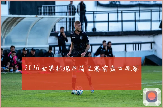 2026世界杯瑞典荷兰赛前盘口观察