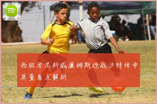 西班牙尼科威廉姆斯迎战沙特传中质量看点解析