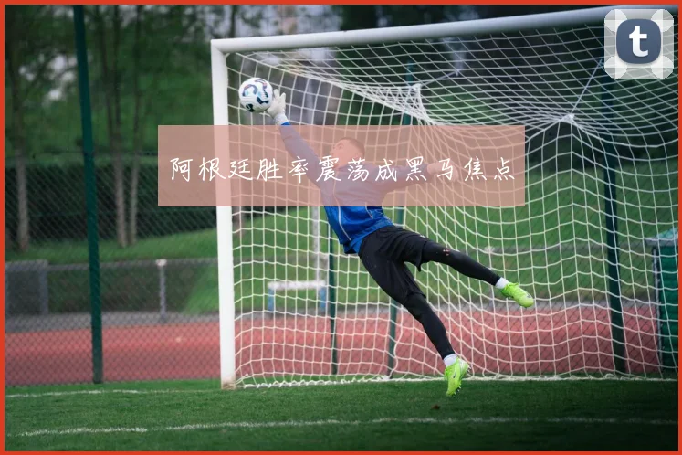 阿根廷胜率震荡成黑马焦点