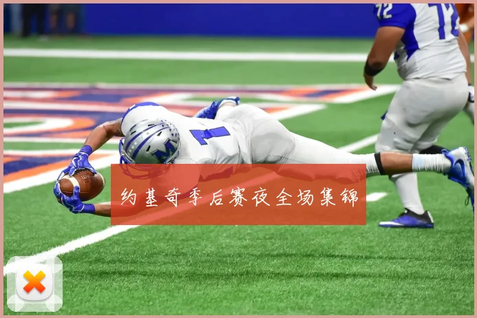 约基奇季后赛夜全场集锦