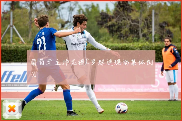 葡萄牙主帅无视C罗球迷现场集体倒戈
