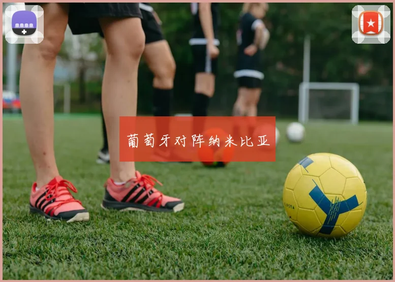 葡萄牙对阵纳米比亚