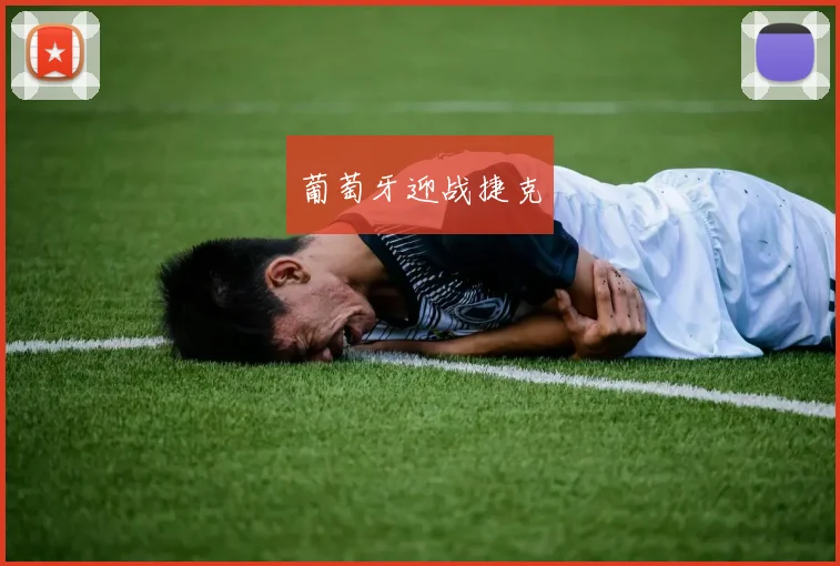 葡萄牙迎战捷克