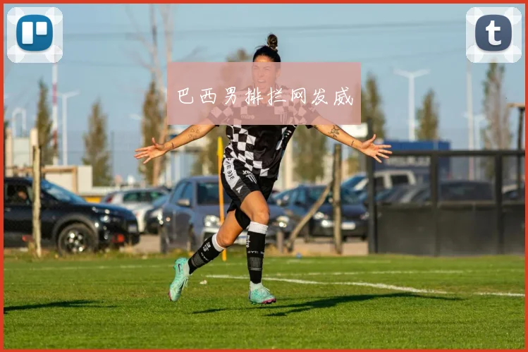 巴西男排拦网发威