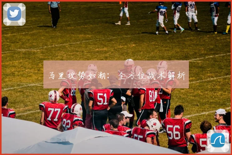 马里攻势如潮：全方位战术解析