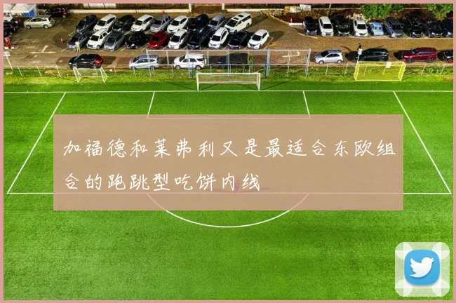 加福德和莱弗利又是最适合东欧组合的跑跳型吃饼内线