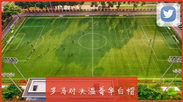 罗马对决温哥华白帽