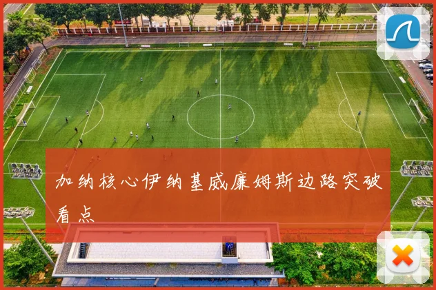 加纳核心伊纳基威廉姆斯边路突破看点