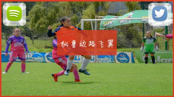 秘鲁边路飞翼