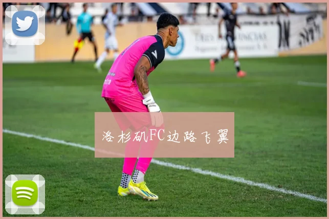 洛杉矶FC边路飞翼