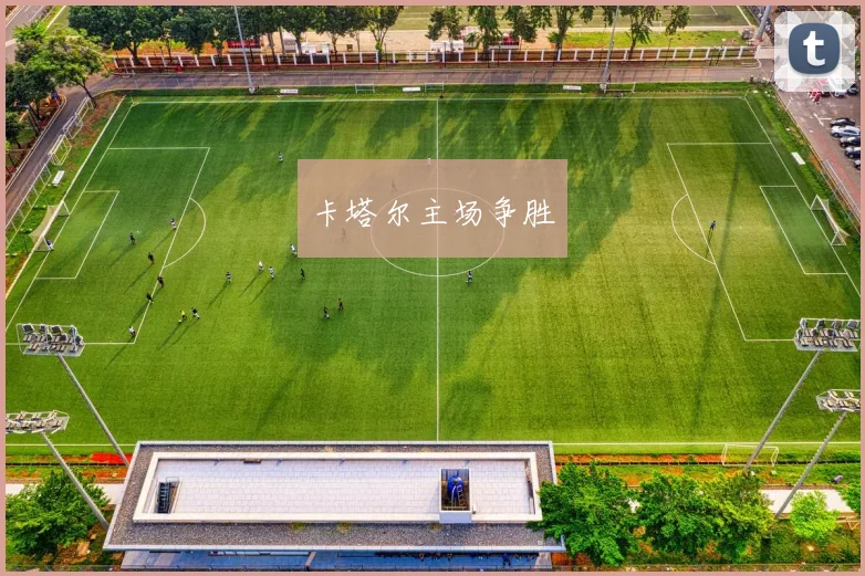 卡塔尔主场争胜