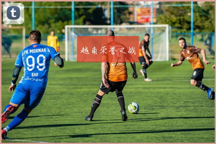 越南荣誉之战