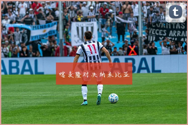 喀麦隆对决纳米比亚
