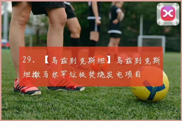 29、【乌兹别克斯坦】乌兹别克斯坦撒马尔罕垃圾焚烧发电项目