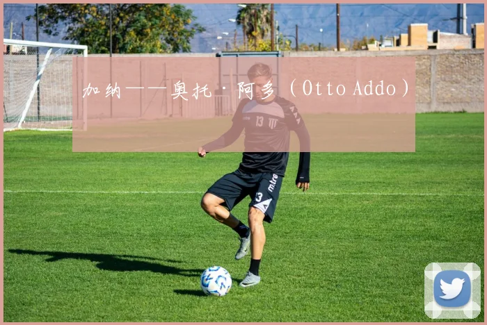 加纳——奥托·阿多（Otto Addo）