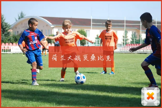 荷兰大战莫桑比克