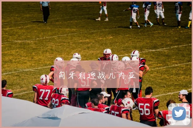 匈牙利迎战几内亚