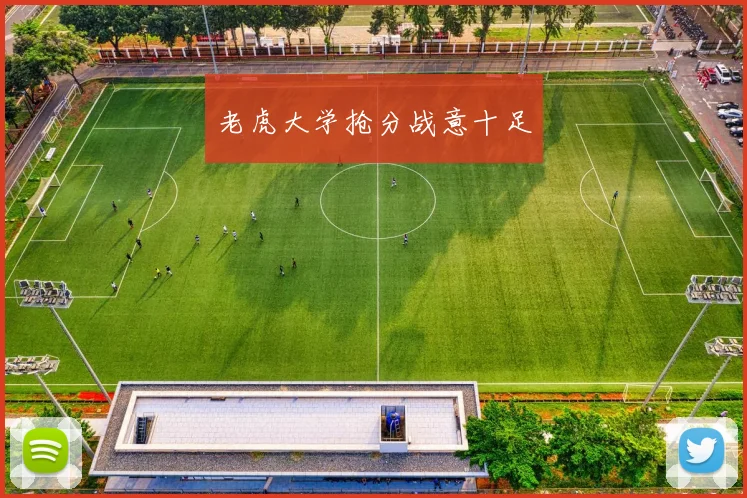 老虎大学抢分战意十足
