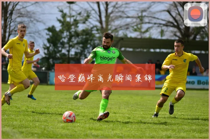 哈登巅峰高光瞬间集锦