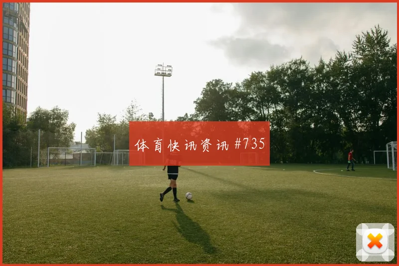 澳大利亚对土耳其D组淘汰赛前景