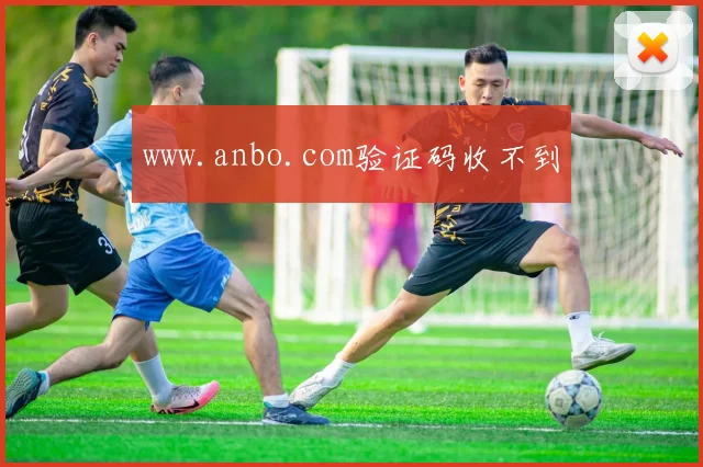 www.anbo.com验证码收不到